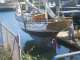 gal/New Boat/_thb_IMG_3828.jpg